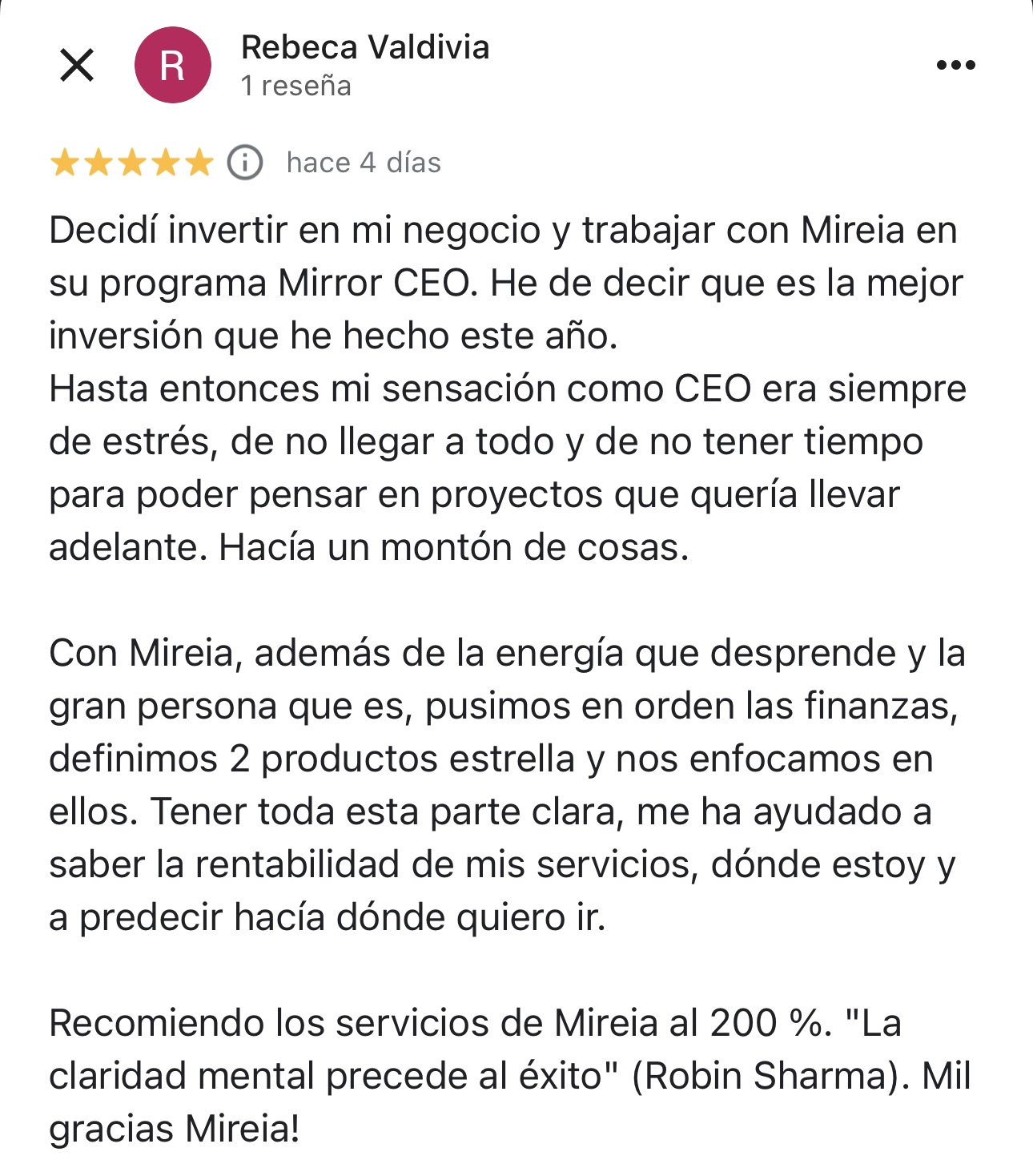 Reseña Google 2